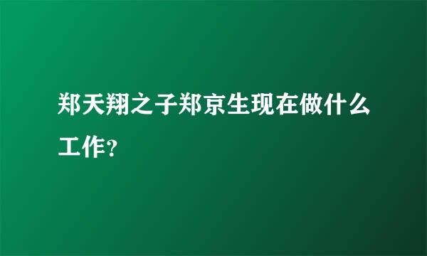 郑天翔之子郑京生现在做什么工作？