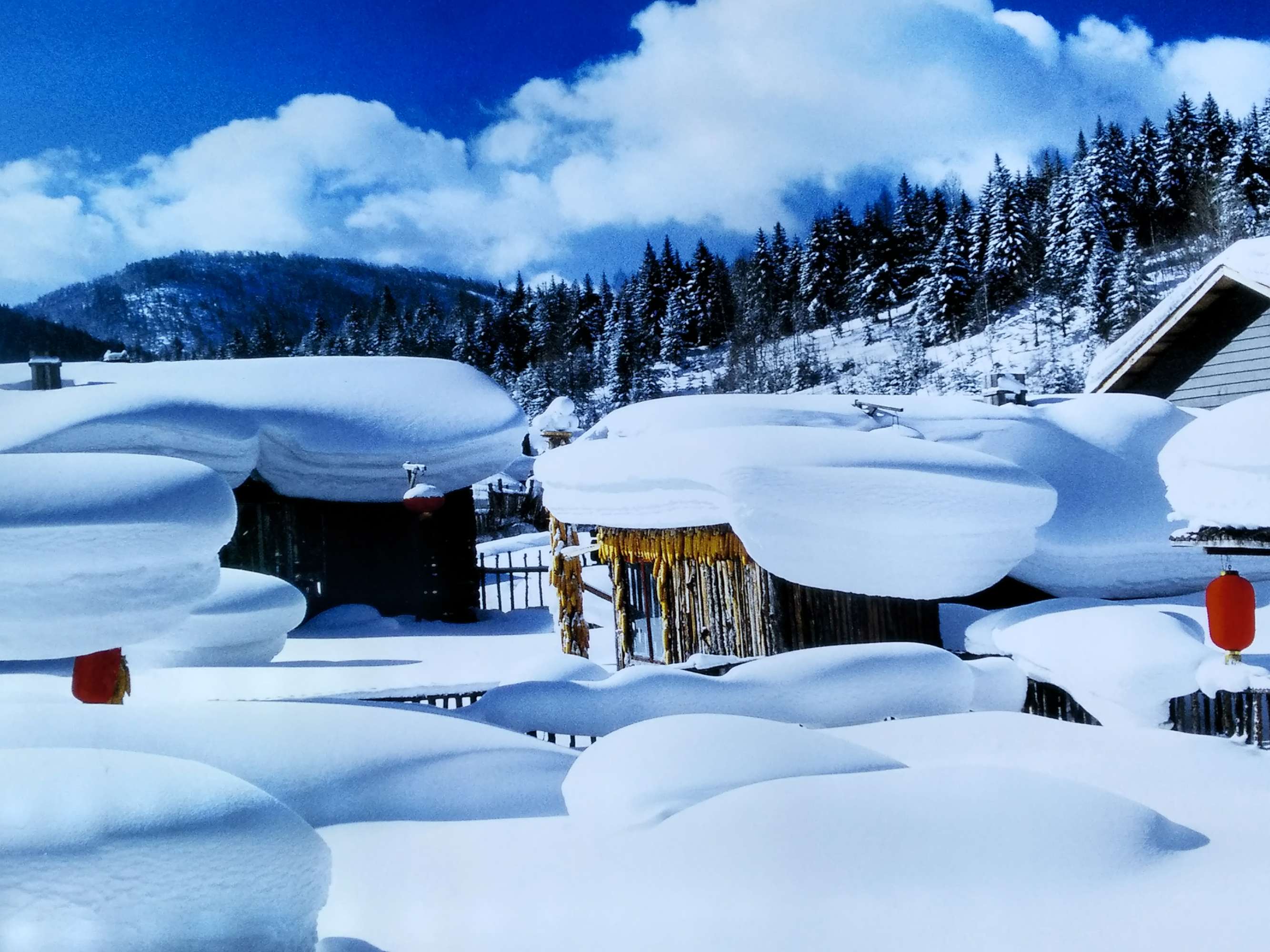 通辽市民早起发现积雪堆到二楼，当地居民需要怎样的帮助？