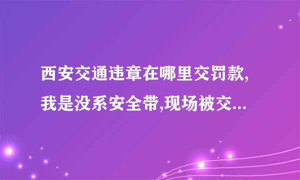 西安交通违章在哪里交罚款,我是没系安全带,现场被交警开的罚单,罚款50元扣1分,去哪里交罚款啊?