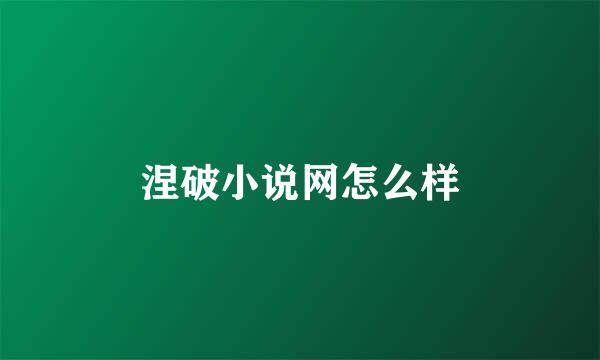 涅破小说网怎么样