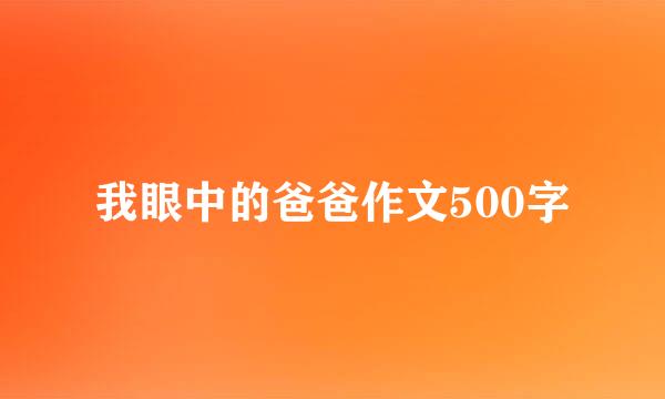 我眼中的爸爸作文500字