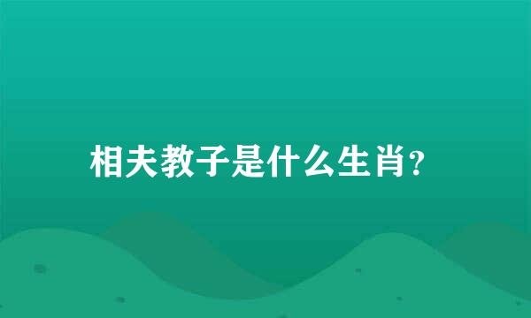 相夫教子是什么生肖？