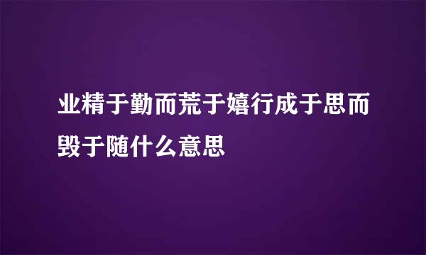 业精于勤而荒于嬉行成于思而毁于随什么意思