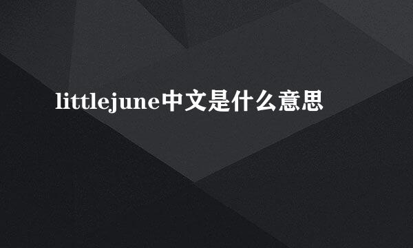 littlejune中文是什么意思