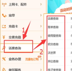 怎么查联通话费清单？