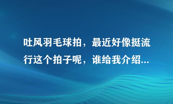 吐风羽毛球拍，最近好像挺流行这个拍子呢，谁给我介绍介绍啊？