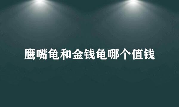 鹰嘴龟和金钱龟哪个值钱