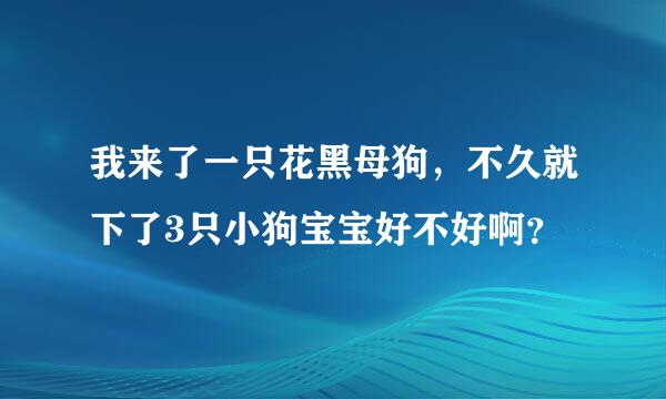 我来了一只花黑母狗，不久就下了3只小狗宝宝好不好啊？