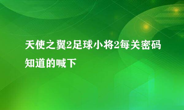 天使之翼2足球小将2每关密码知道的喊下