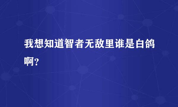 我想知道智者无敌里谁是白鸽啊？