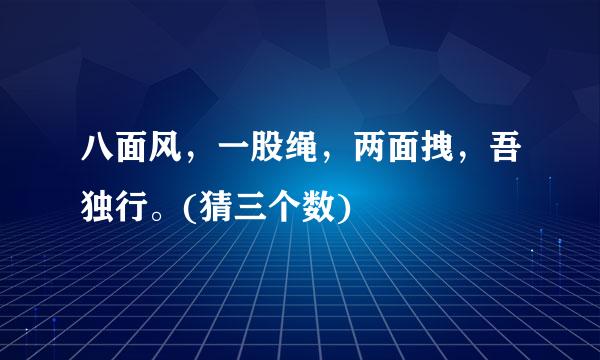 八面风，一股绳，两面拽，吾独行。(猜三个数)