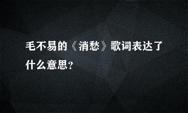 毛不易的《消愁》歌词表达了什么意思？