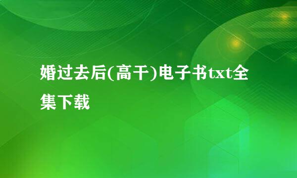 婚过去后(高干)电子书txt全集下载