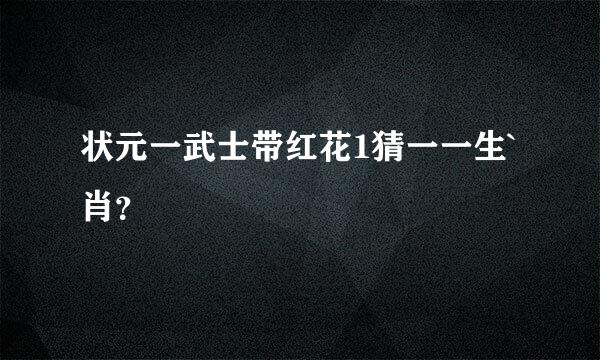 状元一武士带红花1猜一一生`肖？