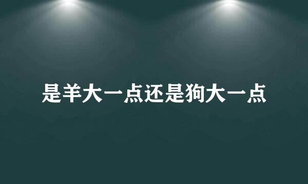 是羊大一点还是狗大一点