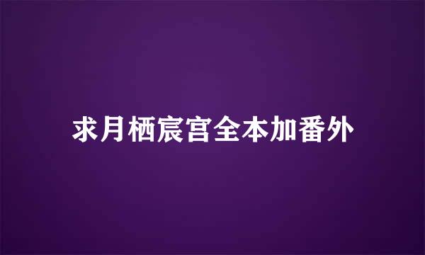 求月栖宸宫全本加番外