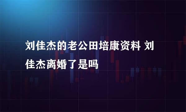 刘佳杰的老公田培康资料 刘佳杰离婚了是吗