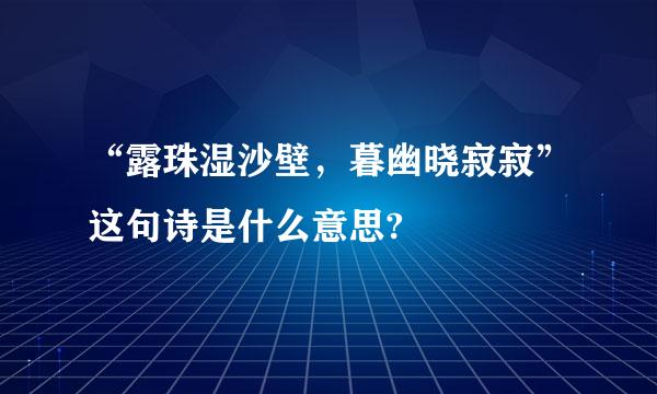 “露珠湿沙壁，暮幽晓寂寂”这句诗是什么意思?