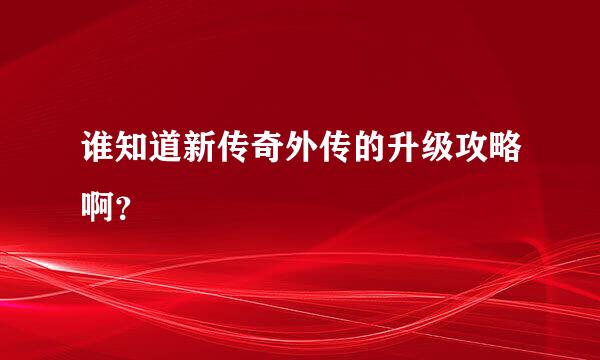 谁知道新传奇外传的升级攻略啊？