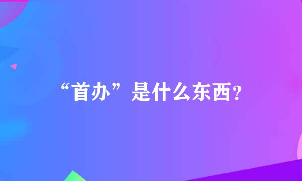 “首办”是什么东西？