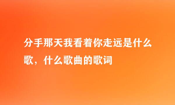 分手那天我看着你走远是什么歌，什么歌曲的歌词