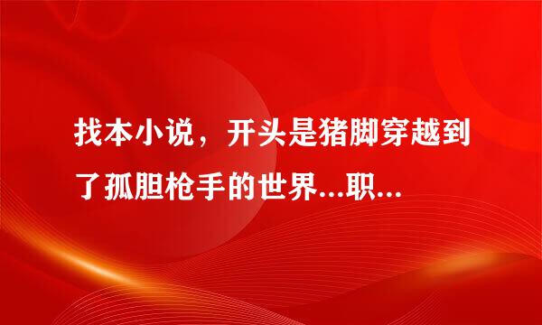 找本小说，开头是猪脚穿越到了孤胆枪手的世界...职业是拳师