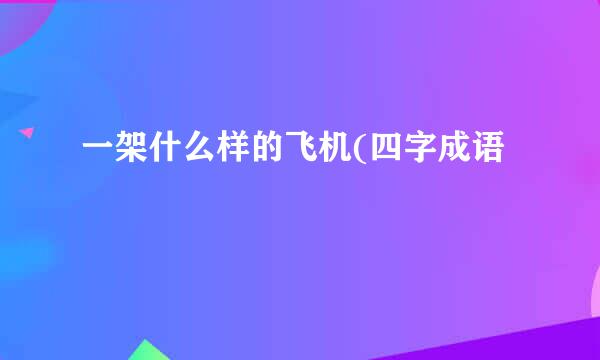 一架什么样的飞机(四字成语