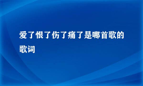 爱了恨了伤了痛了是哪首歌的歌词