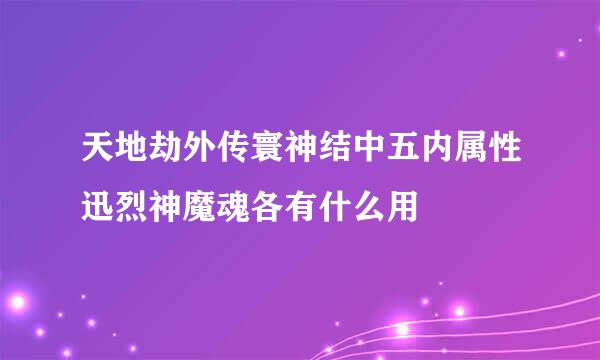 天地劫外传寰神结中五内属性迅烈神魔魂各有什么用