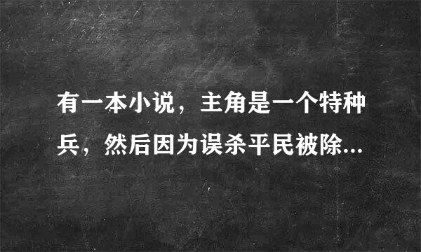 有一本小说，主角是一个特种兵，然后因为误杀平民被除名了，后来做了一个保镖，小说叫什么名字啊