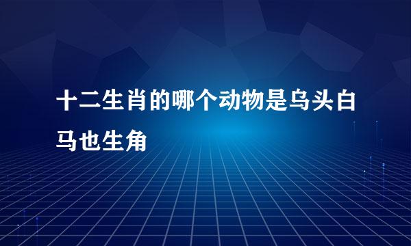 十二生肖的哪个动物是乌头白马也生角