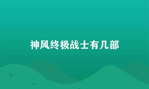 神风终极战士有几部