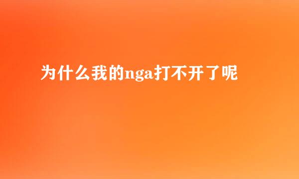 为什么我的nga打不开了呢