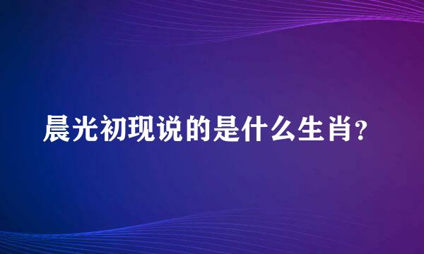 晨光初现说的是什么生肖？