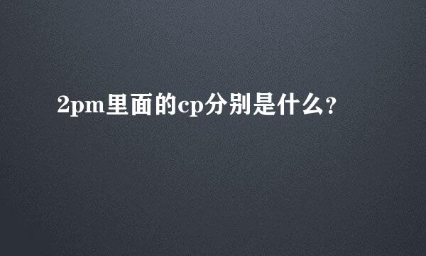 2pm里面的cp分别是什么？