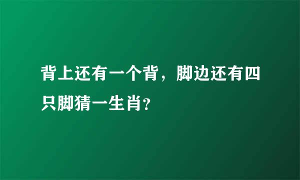 背上还有一个背，脚边还有四只脚猜一生肖？