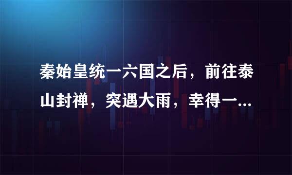 秦始皇统一六国之后，前往泰山封禅，突遇大雨，幸得一株大松树遮蔽而免落汤之灾。秦始皇封它为几大夫？