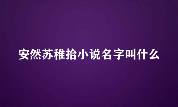 安然苏稚拾小说名字叫什么