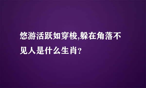 悠游活跃如穿梭,躲在角落不见人是什么生肖？