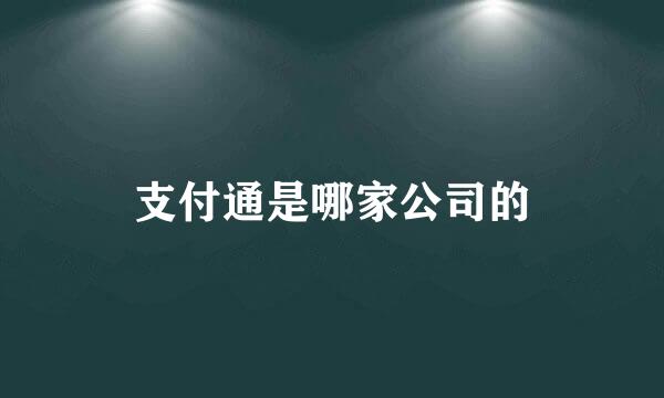 支付通是哪家公司的