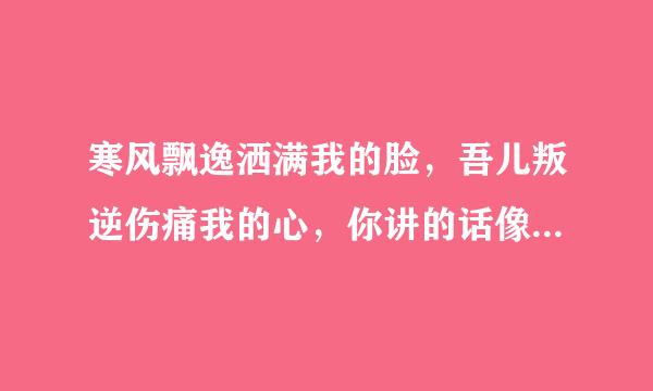 寒风飘逸洒满我的脸，吾儿叛逆伤痛我的心，你讲的话像是冰锥刺入我心底，妈妈真的很受伤。。。有这首歌吗