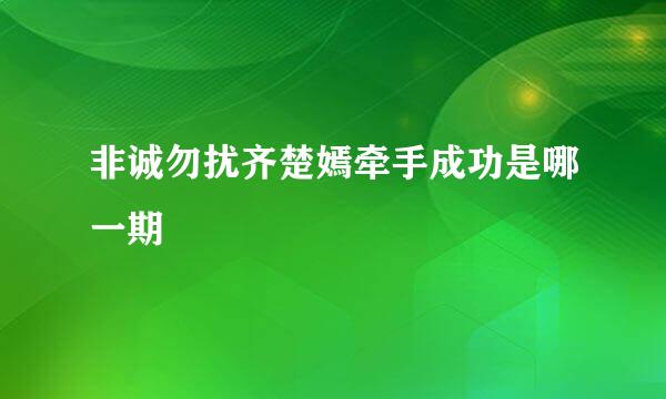 非诚勿扰齐楚嫣牵手成功是哪一期