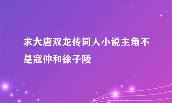 求大唐双龙传同人小说主角不是寇仲和徐子陵