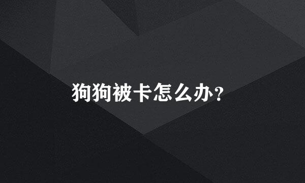 狗狗被卡怎么办？