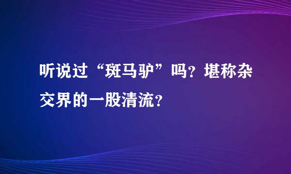 听说过“斑马驴”吗？堪称杂交界的一股清流？