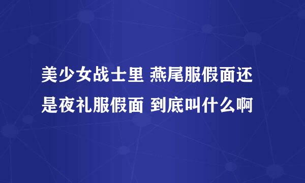 美少女战士里 燕尾服假面还是夜礼服假面 到底叫什么啊