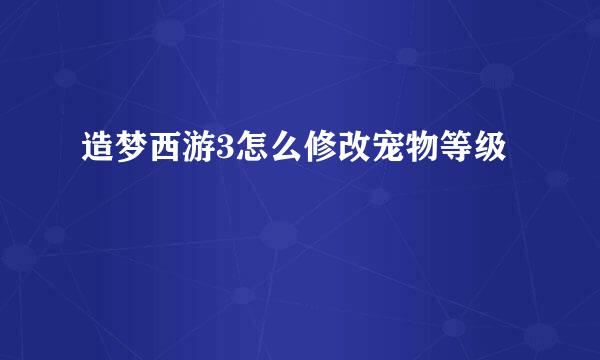 造梦西游3怎么修改宠物等级