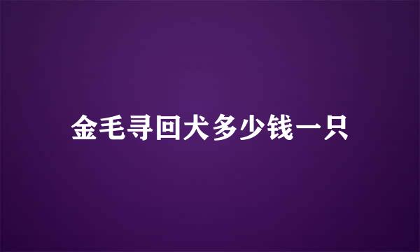 金毛寻回犬多少钱一只