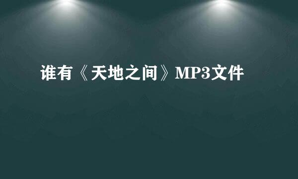 谁有《天地之间》MP3文件