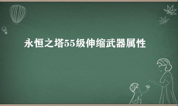 永恒之塔55级伸缩武器属性